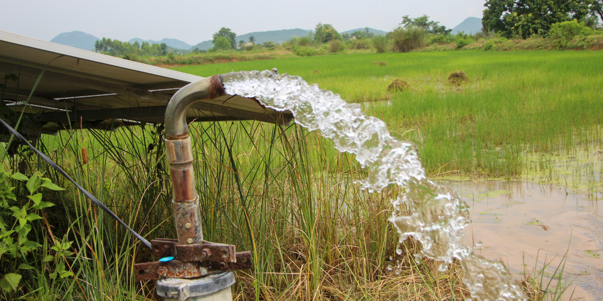 MacKinnon Water Solutions Helps Local Families Restore Confidence in Their Water