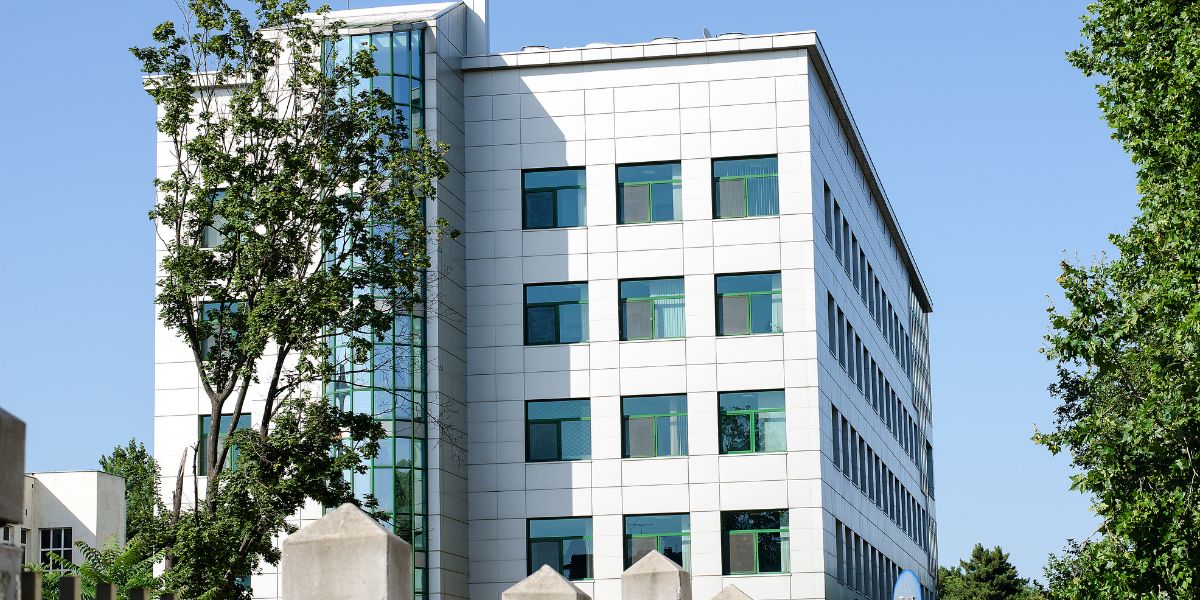 Inside Amsted’s Rental Communities: A Standard Built on Care